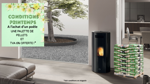 Promo Bois moderne printemps 2026